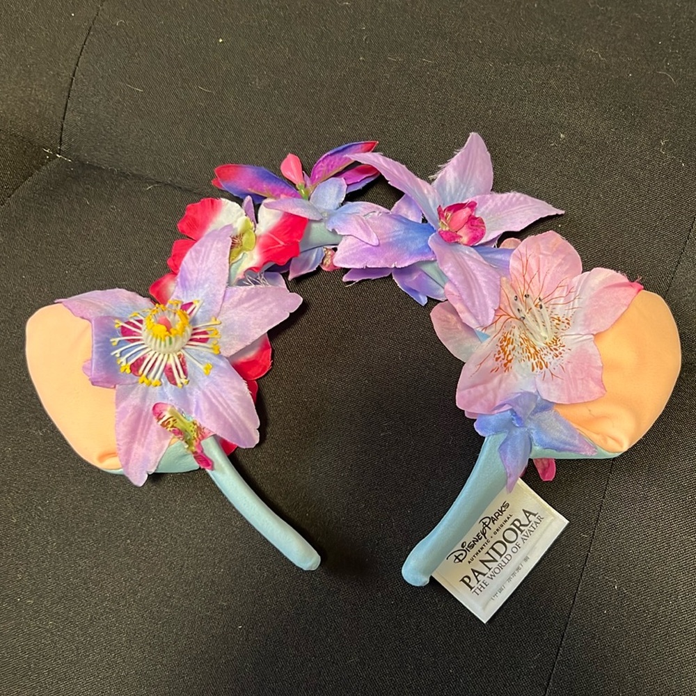 Disney ears
